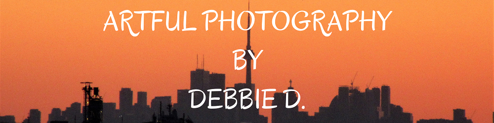 Debbie D - Website
